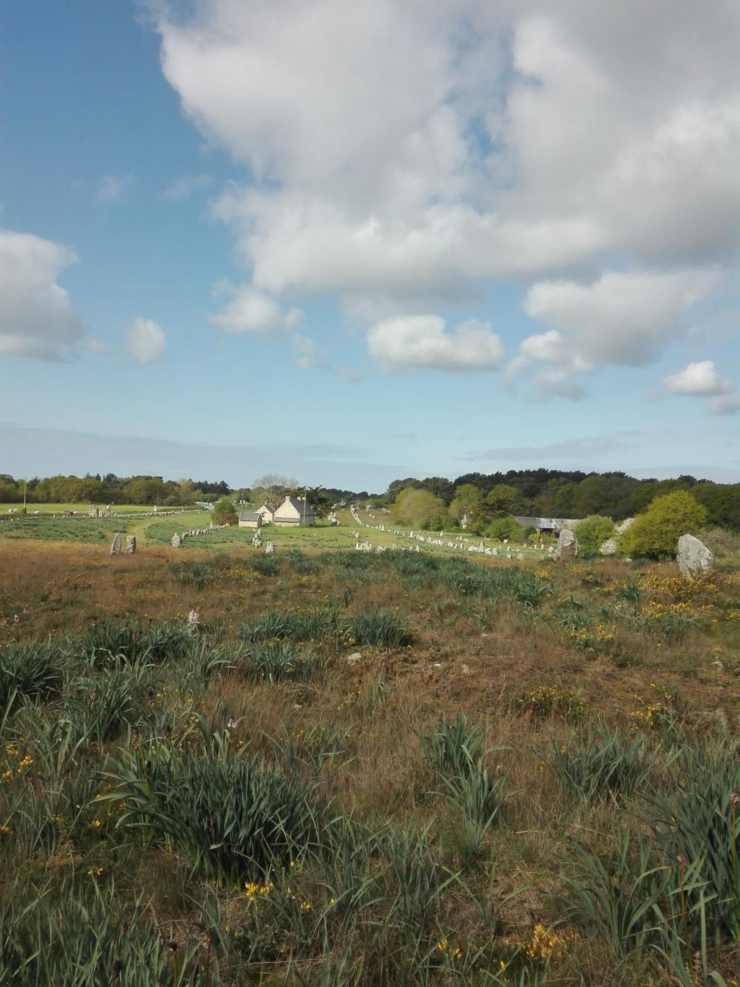 Grand Studio Duplex Avec Jardin La Trinité-sur-Mer Zewnętrze zdjęcie