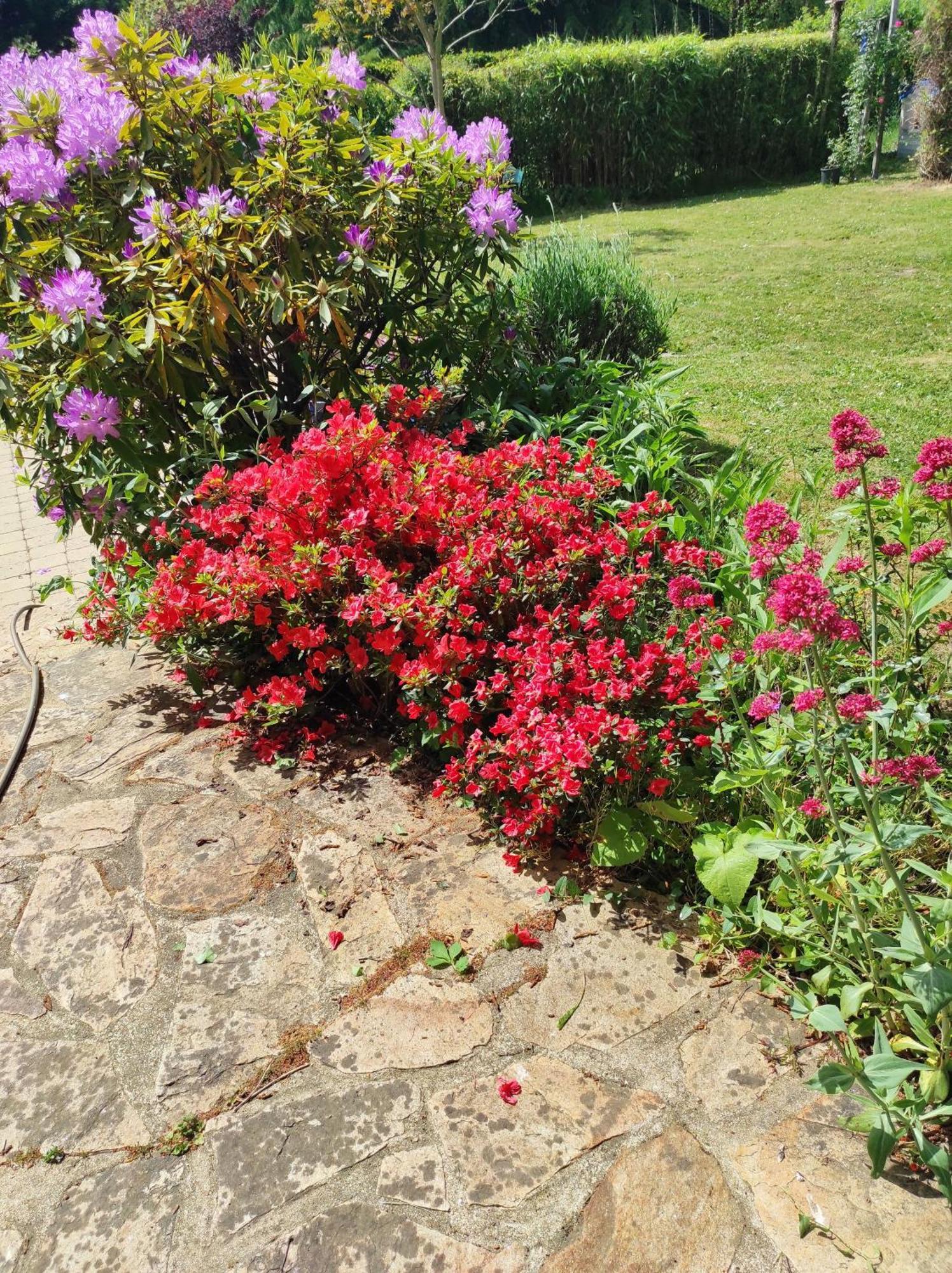 Grand Studio Duplex Avec Jardin La Trinité-sur-Mer Zewnętrze zdjęcie