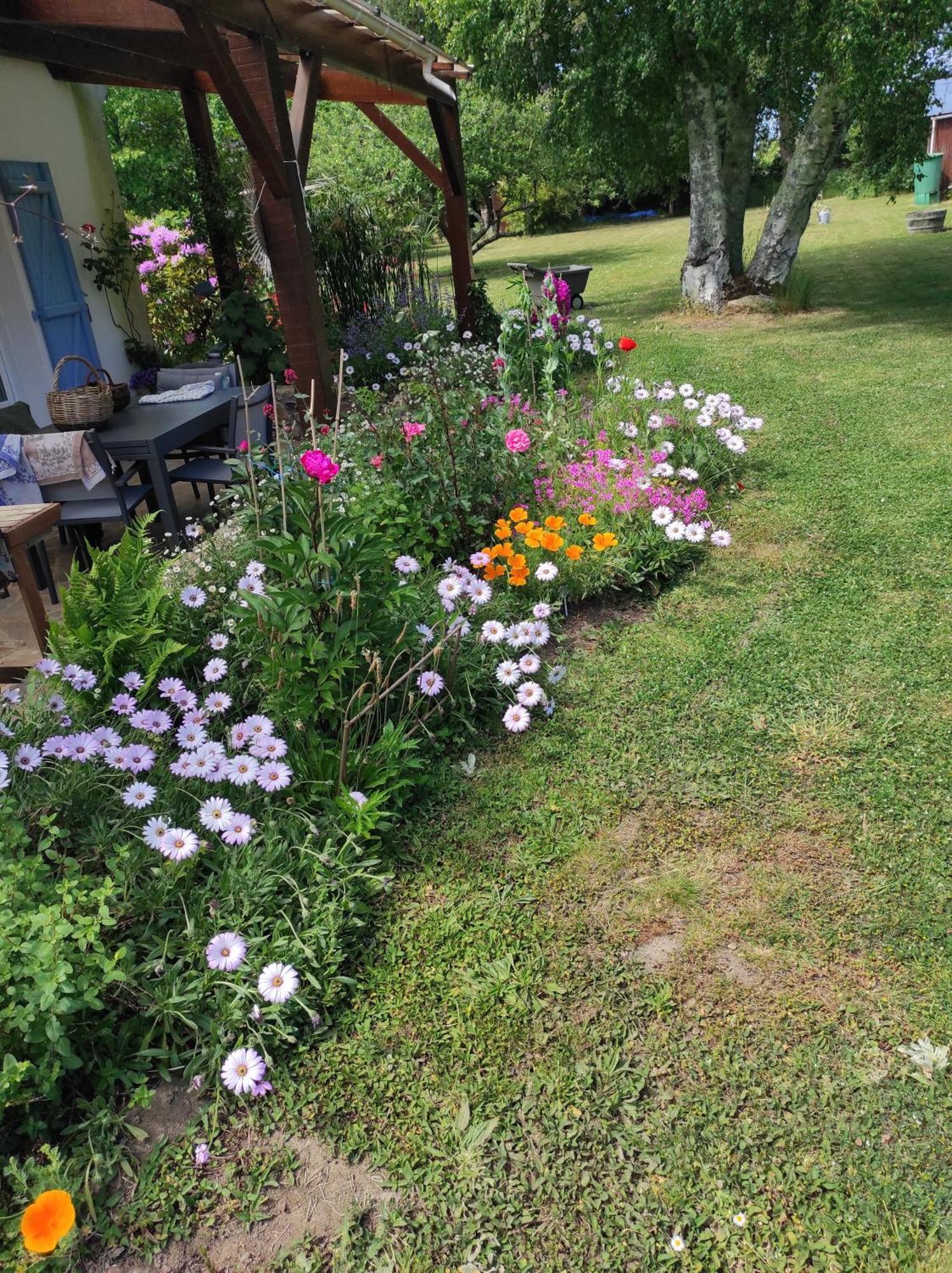 Grand Studio Duplex Avec Jardin La Trinité-sur-Mer Zewnętrze zdjęcie